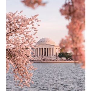 Cannot Ship! 3/24-3/31! Moving!